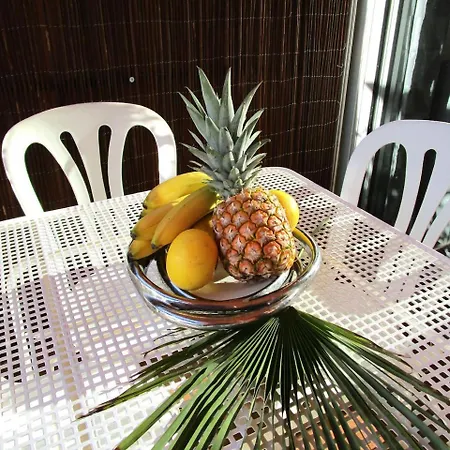 Apartamento L'alicastre Le Jardin De Stella Le Lavandou